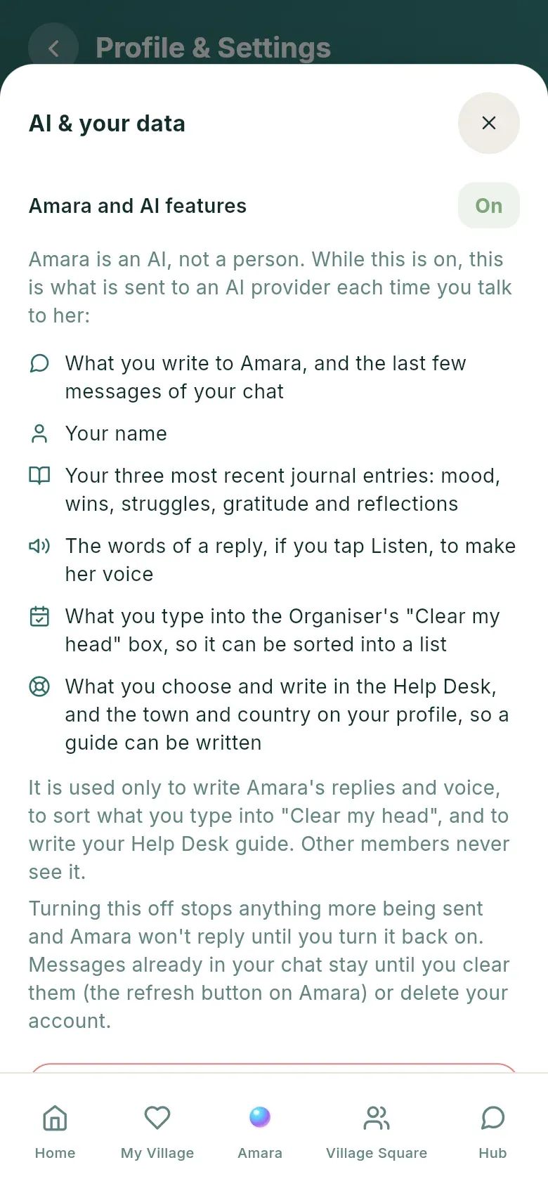 The AI and your data screen, listing what Amara sends to the AI provider and a button to turn it off.